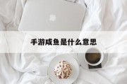 手游咸鱼是什么意思