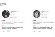 手书制作软件，传统艺术与数字技术的完美融合-功能与选择指南