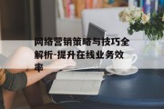 网络营销策略与技巧全解析-提升在线业务效率