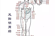 中医穴位按摩,减肥瘦身良方-按摩技巧与效果解析