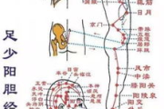 经络瘦身减肥仪,中医减肥新选择-使用方法与效果解析