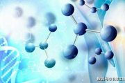 酵母瘦身,天然营养素的减肥新途径-全面解析与应用