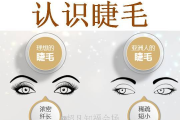 0基础学彩妆书，开启美丽新篇章-化妆技巧入门指南