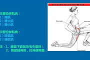 瘦身拉技巧与实践指南-健康减肥新策略解析