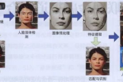 照片换脸软件手机版使用指南-功能介绍与操作解析