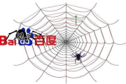蜘蛛链接在搜索引擎中的运作机制与优化策略