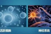 30分钟减肥瘦身完整版训练方案，打造健康体型