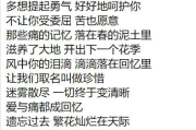 拾欢：提升网站SEO策略与内容创作技巧解析