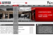 电影网站构建指南,技术选型与内容管理-解决方案解析