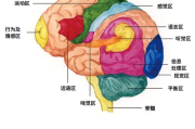 去黑头面膜挑选与使用攻略-肌肤清洁与护理方案解析