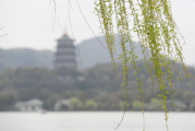 春情荡漾，揭秘情感绽放的秘密-生活情感指南