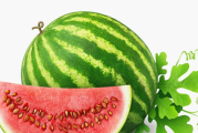 西瓜挑选与保存技巧-享受夏日清凉的正确方法