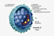 宝宝发烧反反复复，原因与对策解析