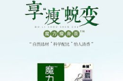 叶氏瘦身茶，传统与现代减肥的完美结合-全面解析其瘦身原理与使用方法