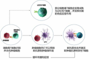薄荷瘦身食谱，清新口感助您健康减肥-食谱解析与制作方法