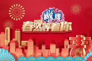 2025年春节联欢晚会,传承与创新的文化盛宴-全方位解析