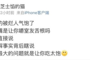 高清电视剧无人观看的原因与对策分析