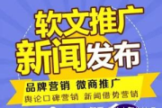 成功的软文推广，提升品牌影响力-策略与实践解析