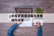小毛驴简谱详解与演奏技巧分享