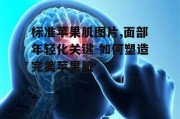 标准苹果肌图片,面部年轻化关键-如何塑造完美苹果肌