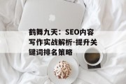 鹤舞九天：SEO内容写作实战解析-提升关键词排名策略