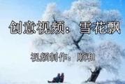 雪花飘电影免费观看视频,合法渠道与高质量观影方案解析