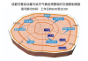 成都网多多,全方位网络解决方案提供商-服务深度与广度解析
