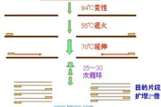 高效实验助力，引物设计软件选择与使用指南