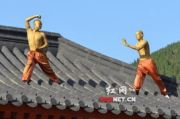 中国十大武术排名,传统实战技巧解析-武术爱好者必读