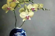 花西子彩妆盘百鸟朝凤，传统美学与现代技术的完美融合