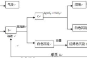 体内遗留物处理方法与健康恢复-医学解决方案解析