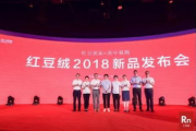 2024安踏新款鞋,科技与时尚的融合-全面性能升级解析