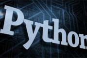 利用Python构建网站的优势与实践指南