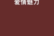 爱情的唯美短句,浪漫表达与情感共鸣-精选集锦