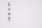 往后余生规划指南-实现个人价值的生活策略