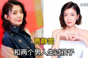 电视剧《无限生机》演员表及角色解析-演员阵容一览