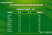 女士衣服十大品牌,引领时尚潮流-品牌解析与特点
