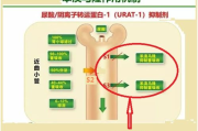 比特派与imToken全面对比：哪款数字钱包更适合你？