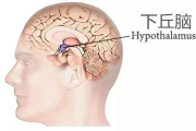 科学瘦身,健康生活-科学瘦身策略与技巧解析