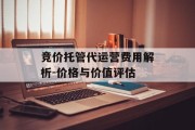 竞价托管代运营费用解析-价格与价值评估