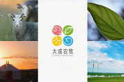 小宋当家,家庭烹饪解决方案-健康美食与简便技巧解析