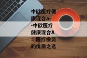 中欧医疗健康混合a--中欧医疗健康混合A：医疗投资的优质之选