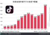 国外直播平台TikTok,全球社交新趋势-运营策略与内容创作解析