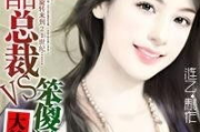 帝少心尖宠:宝贝情节解析与读者共鸣