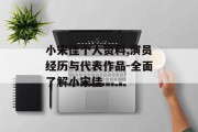 小宋佳个人资料,演员经历与代表作品-全面了解小宋佳