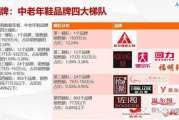 国内品牌服饰市场现状与发展策略解析