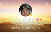 中国好声音第三季冠军,张碧晨的音乐之路与艺术成就