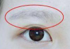 彩妆基础画眉毛技巧，让您的妆容更精致-纸上实践指南