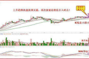 2012年电影市场盘点，经典之作影响深远-电影艺术解析