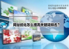 刷排名SEO软件,提升网站排名的利器-原理与实践解析